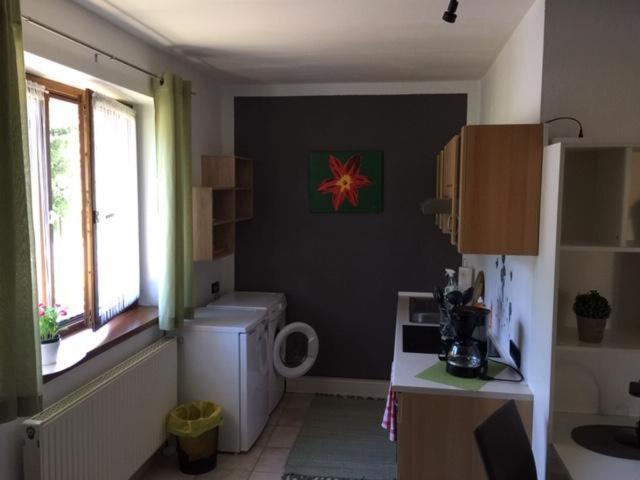 Apartmán Haus Wutzl Mariazell Exteriér fotografie